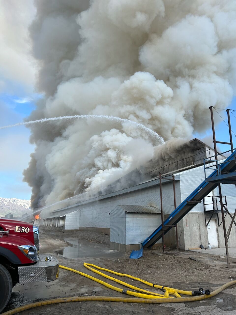 Oakdell Egg Farms fire